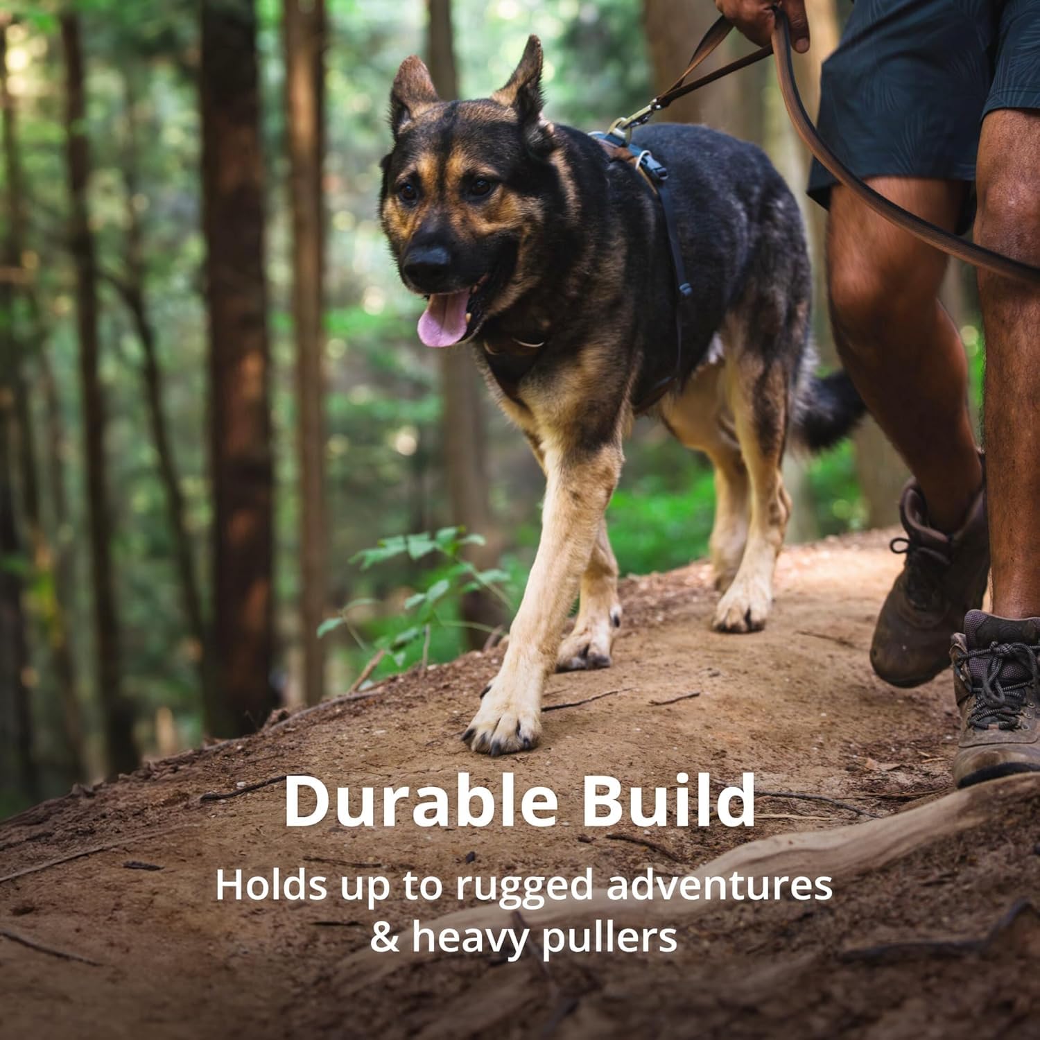 Ruffwear Front Range harness size chart and video guide for correct fit