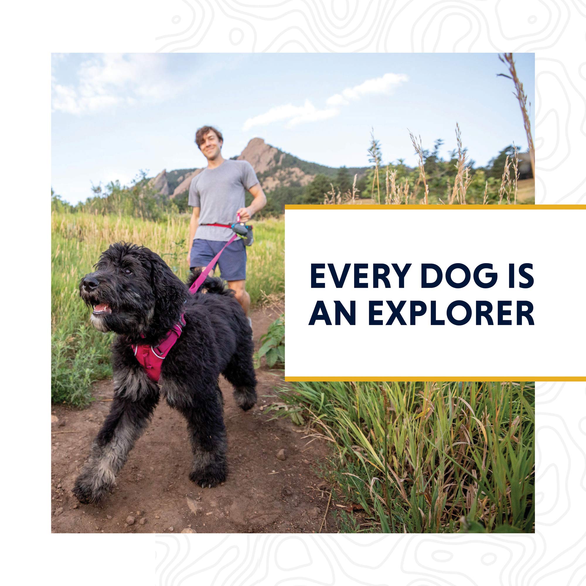 Ruffwear Front Range Leash durable-lightweight design suits daily adventures.