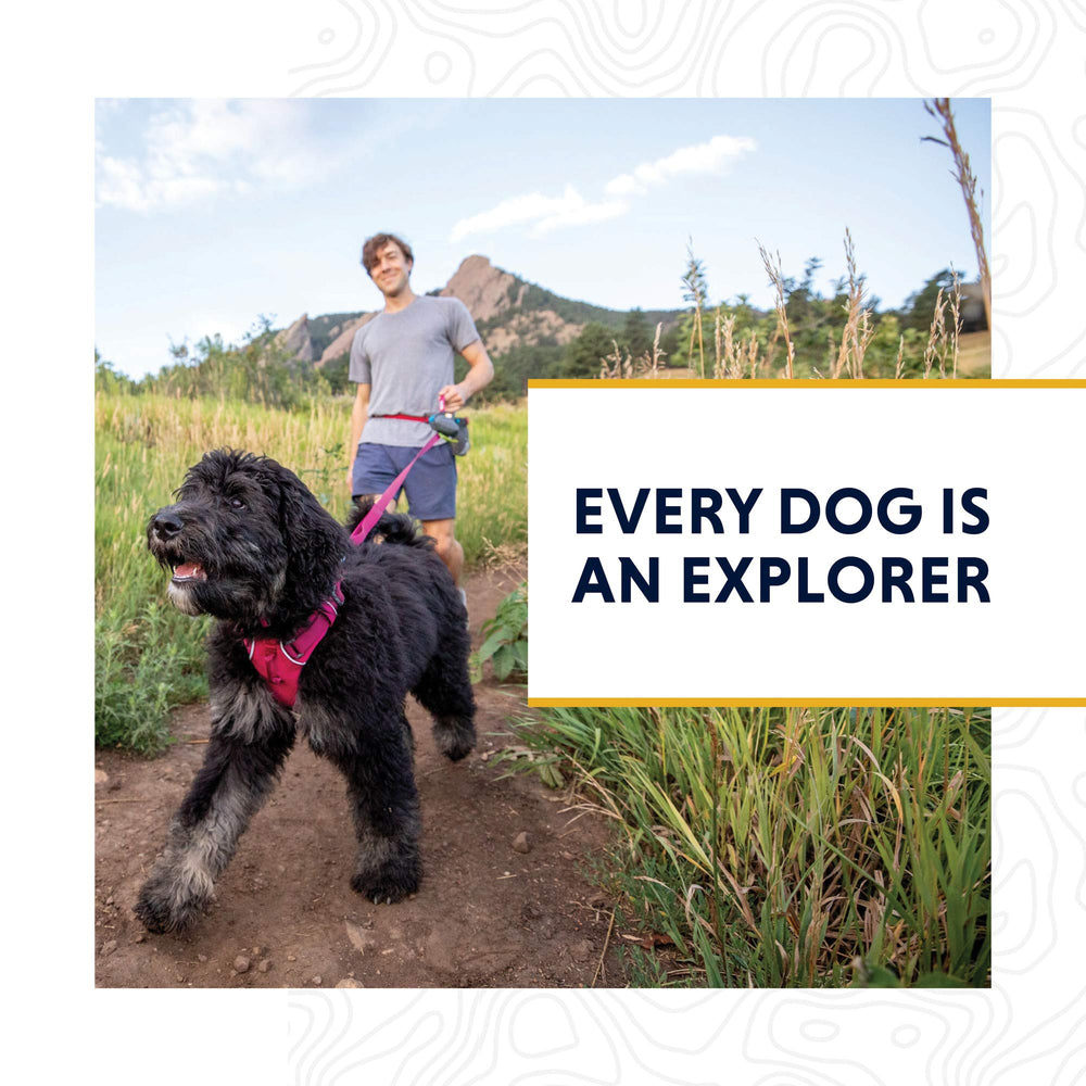 Ruffwear Front Range Leash durable-lightweight design suits daily adventures.