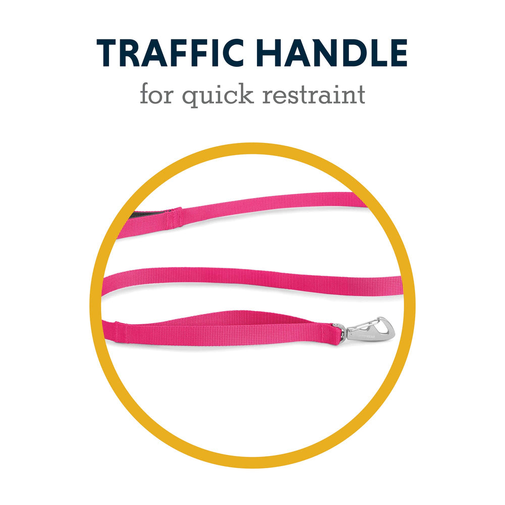 Ruffwear Front Range Leash everyday-walking setup supports seamless gear pairing.