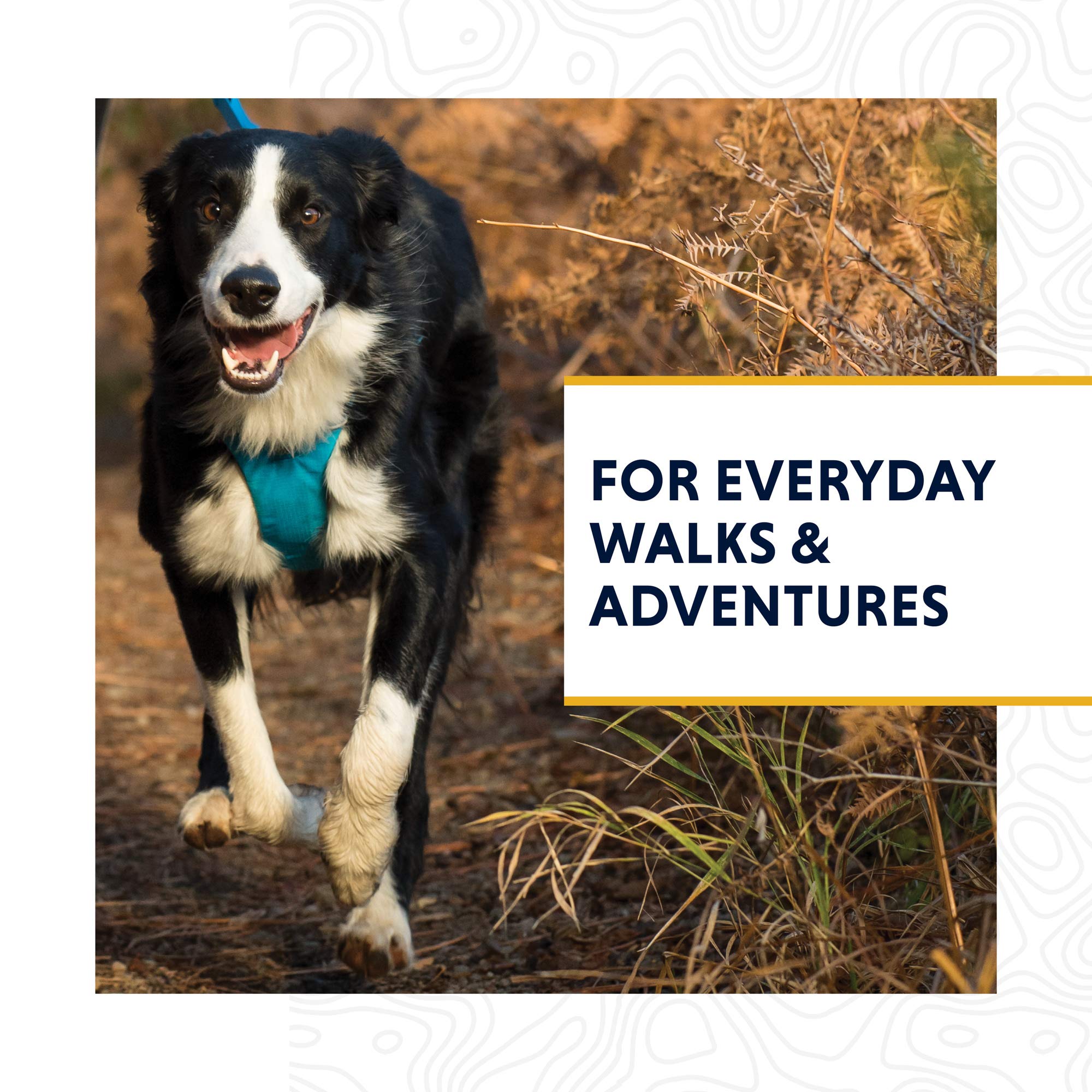 Ruffwear Front Range Leash one-handed-clip enabling easy attachment during adventures.