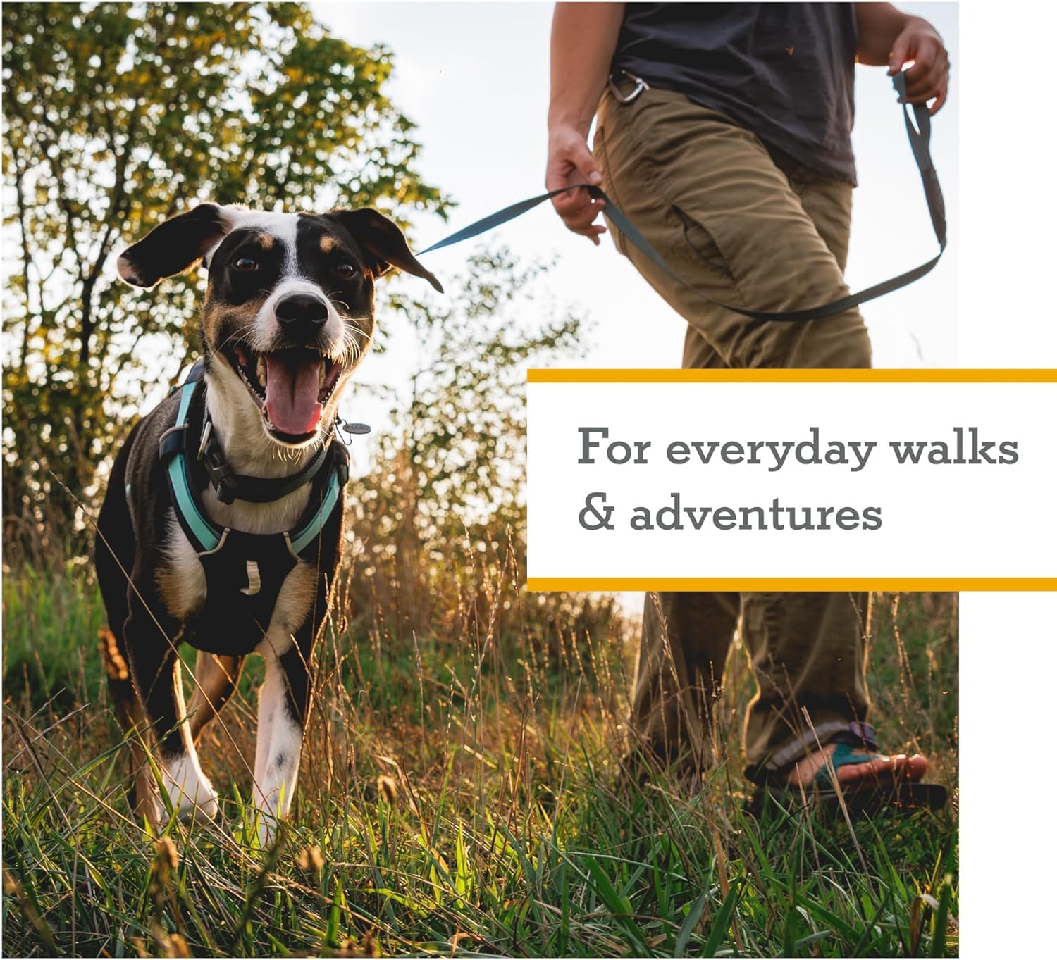 Ruffwear Hi & Light suited for all-day daily walks