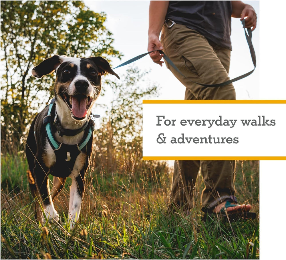 Ruffwear Hi & Light suited for all-day daily walks