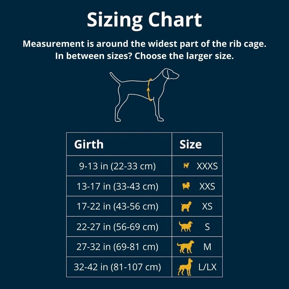 Ruffwear Hi & Light harness rear clip designed for daily walks