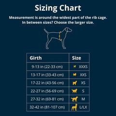 Ruffwear Hi & Light rear V-ring closeup ideal for daily walks