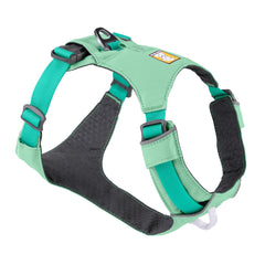 Ruffwear Hi & Light front-clip harness on medium dog enables training control