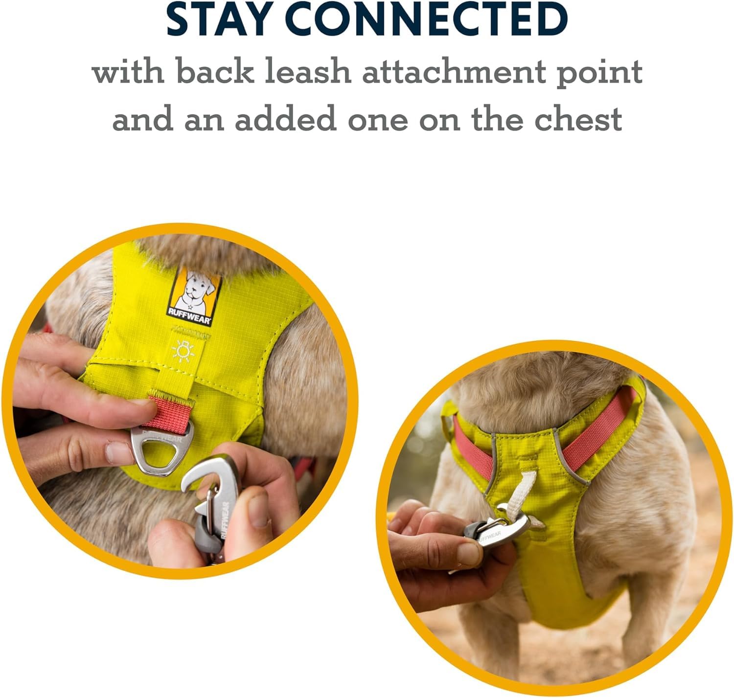 Ruffwear Hi & Light featherweight comfort for small dogs