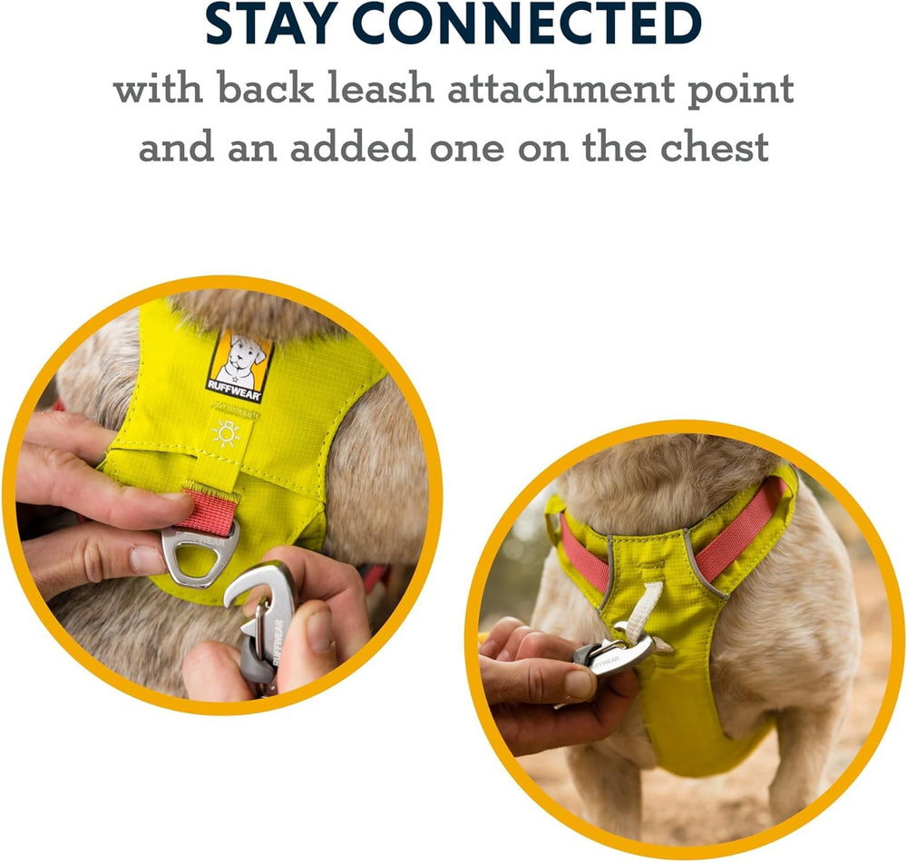 Ruffwear Hi & Light featherweight comfort for small dogs