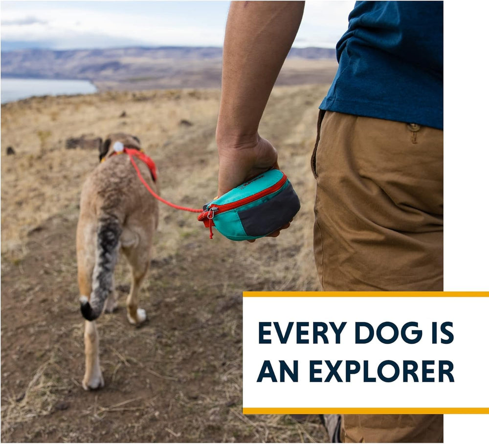 Ruffwear Hitch Hiker around-post setup for tree-secured tethering