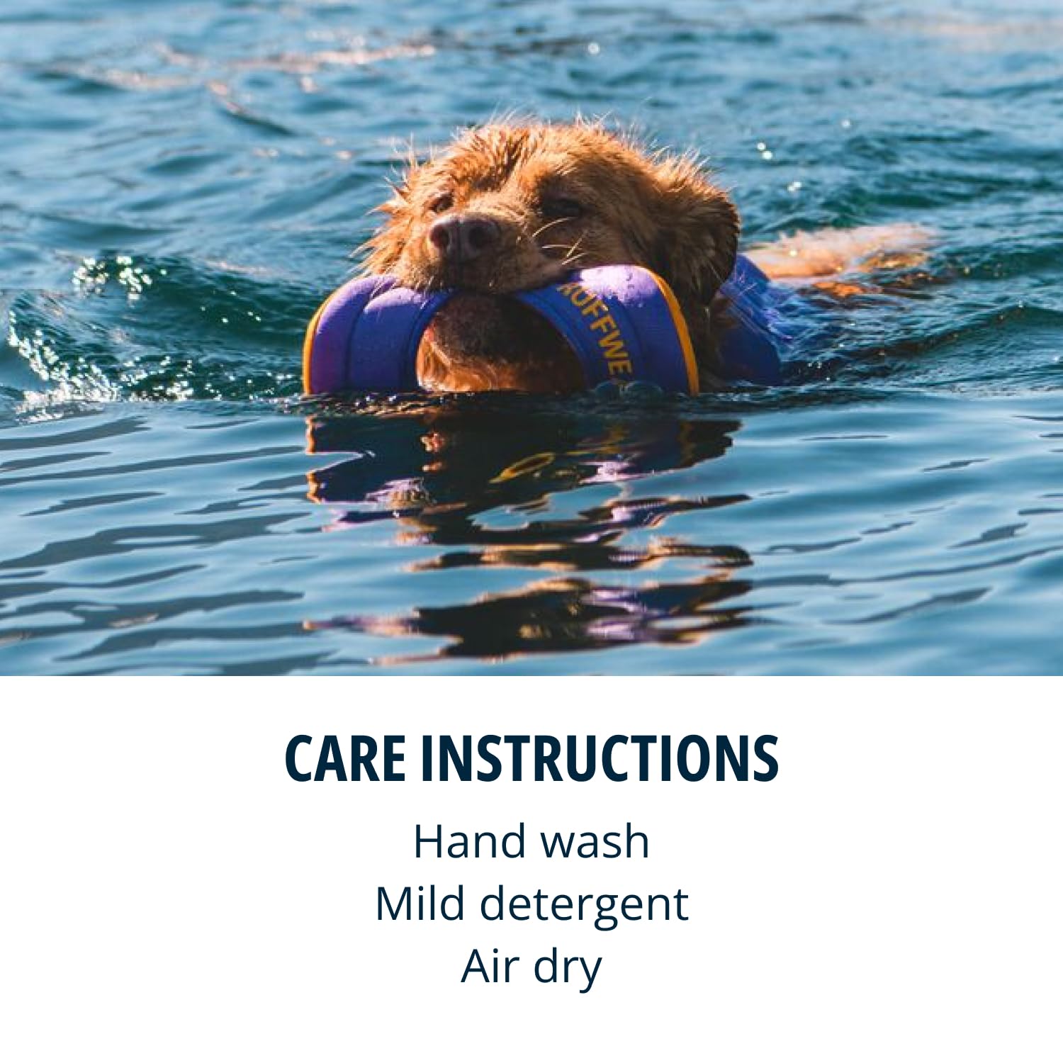 Ruffwear Hydro Plane Frisbee oversized shape eases pickup for flat-faced breeds