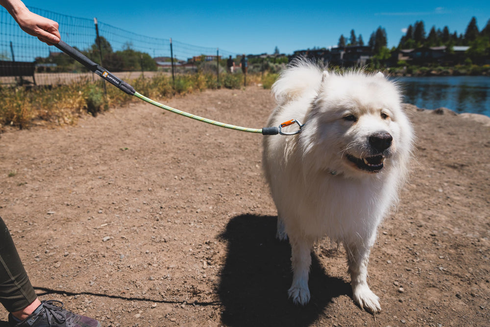 Ruffwear Knot-a-Long leash 30 inch length keeps dogs close on walks.