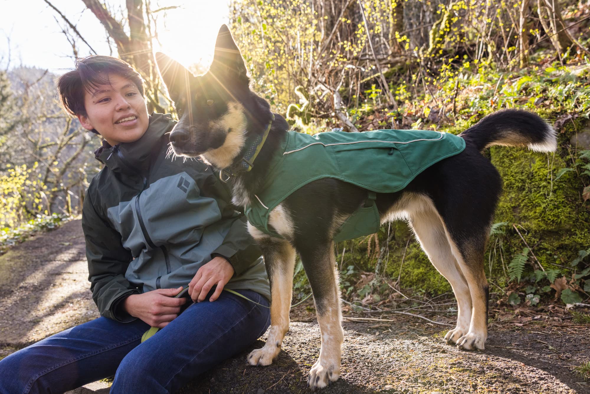 Ruffwear Overcoat Fuse jacket on large evergreen dog on a trail