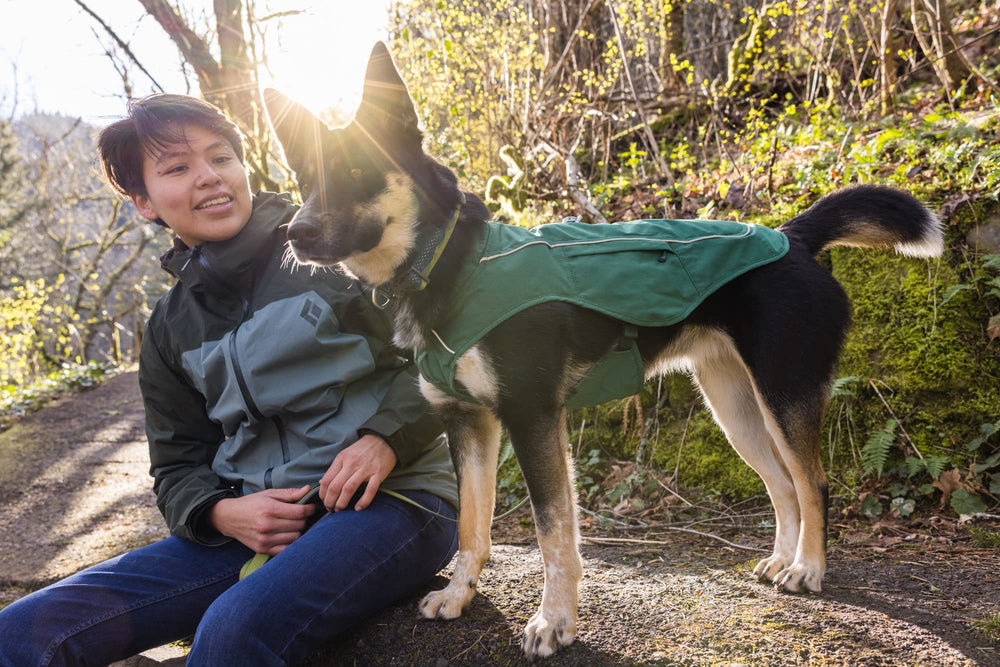 Ruffwear Overcoat Fuse jacket on large evergreen dog on a trail