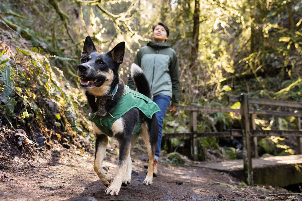 Ruffwear Overcoat Fuse jacket light loop ready for beacon attachment