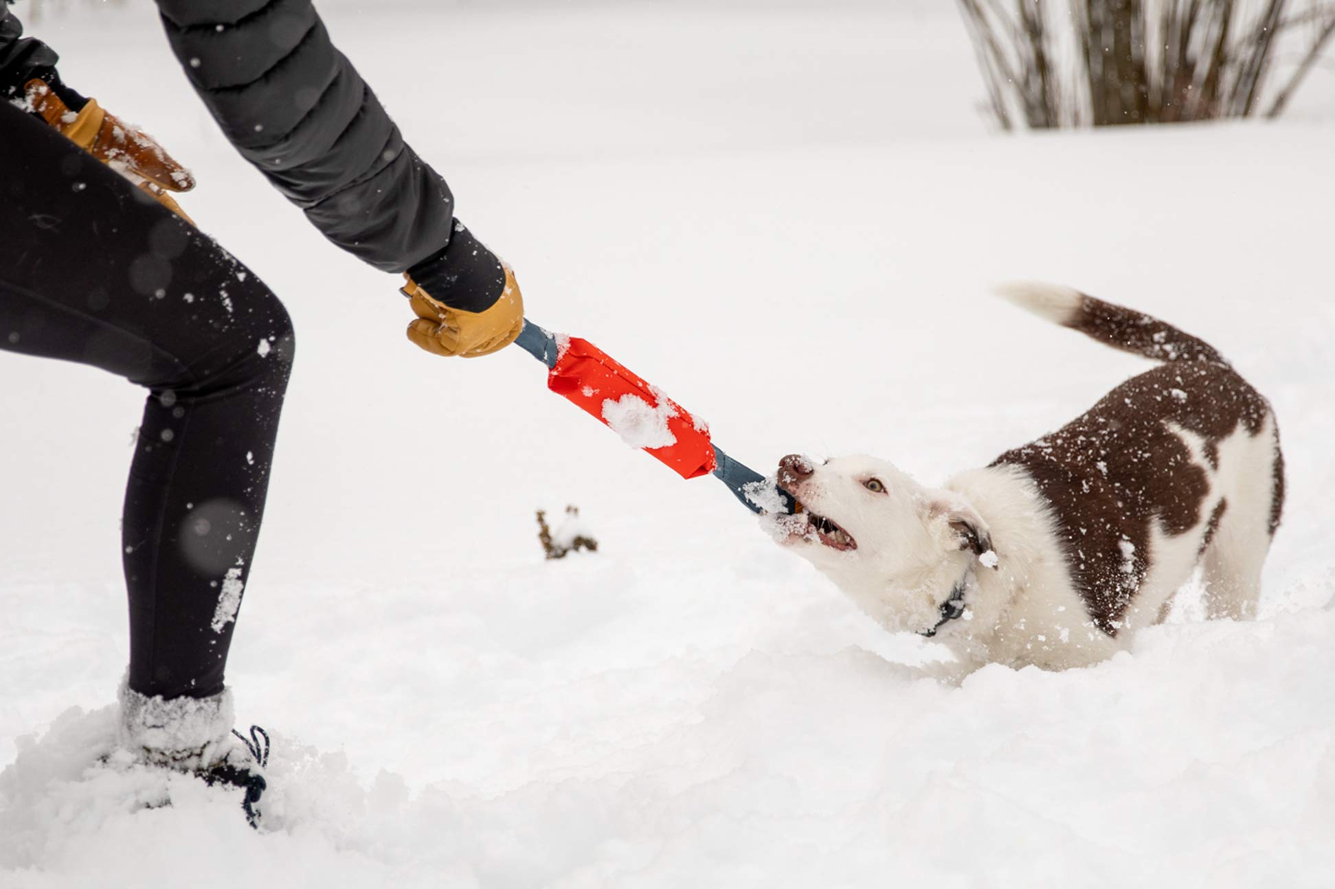 Ruffwear Pacific Loop floats for versatile water and snow play.