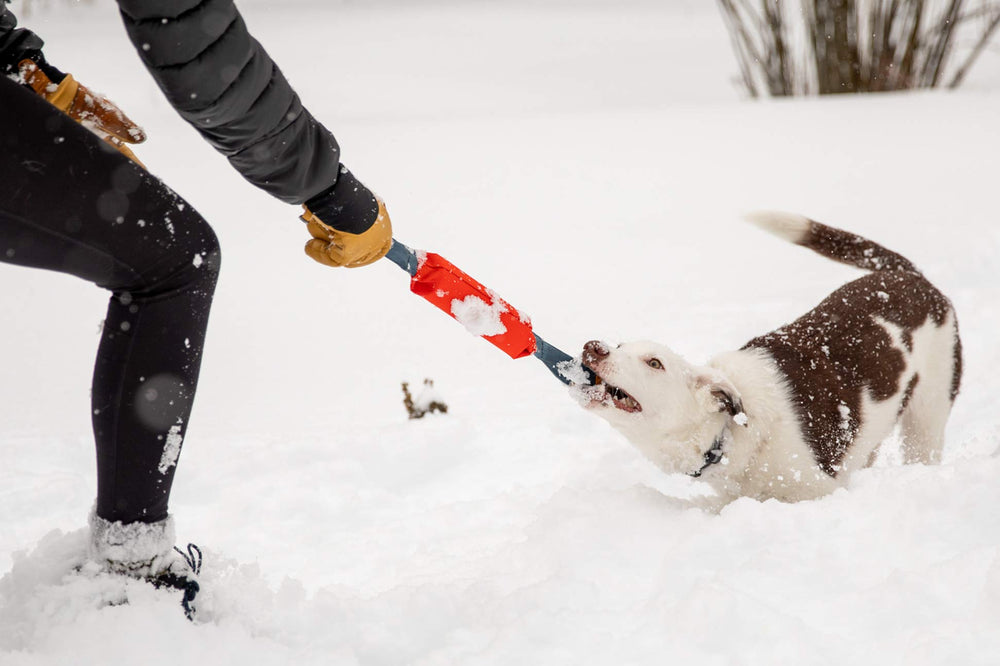 Ruffwear Pacific Loop floats for versatile water and snow play.