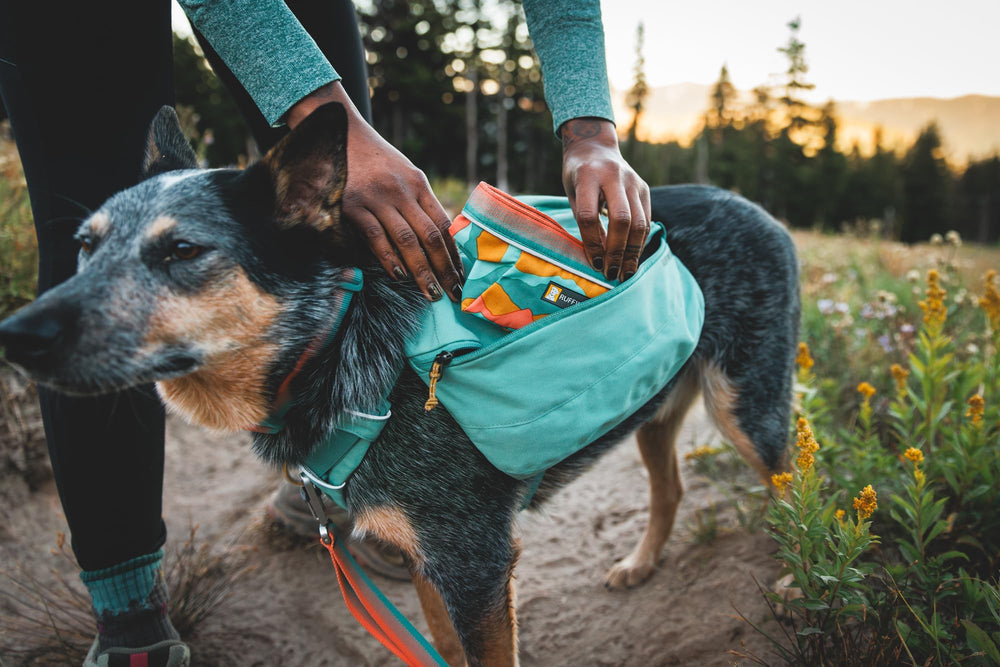 Ruffwear Quencher in Coastal Mountains color suits outdoor tones