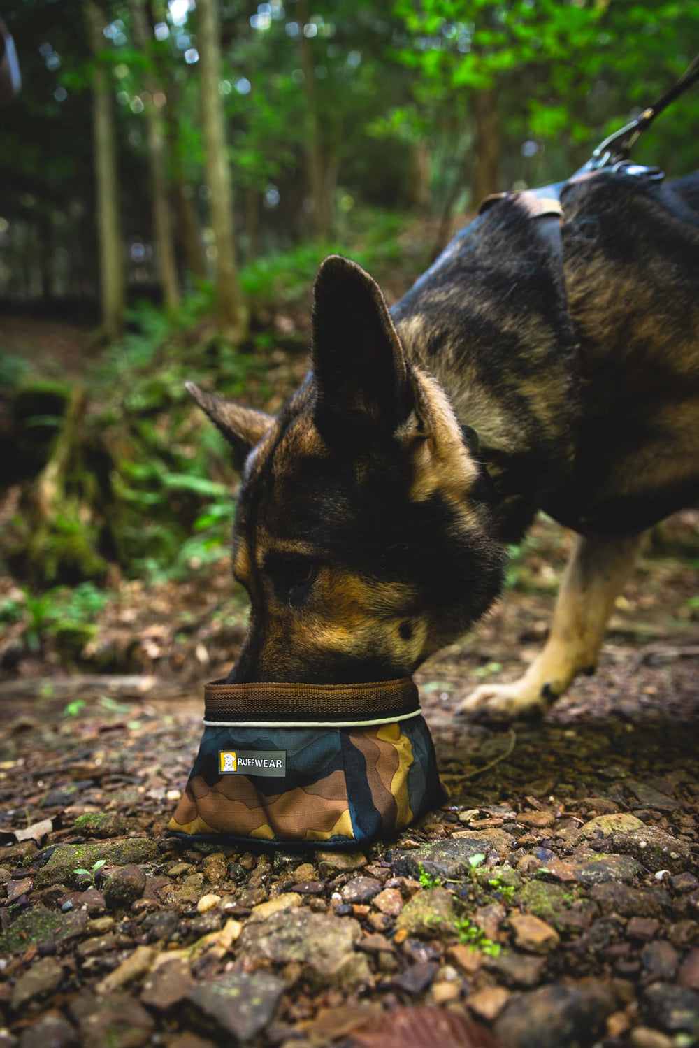 Ruffwear Quencher in-pack image highlights compact, lightweight bowl for day trips and long hikes.