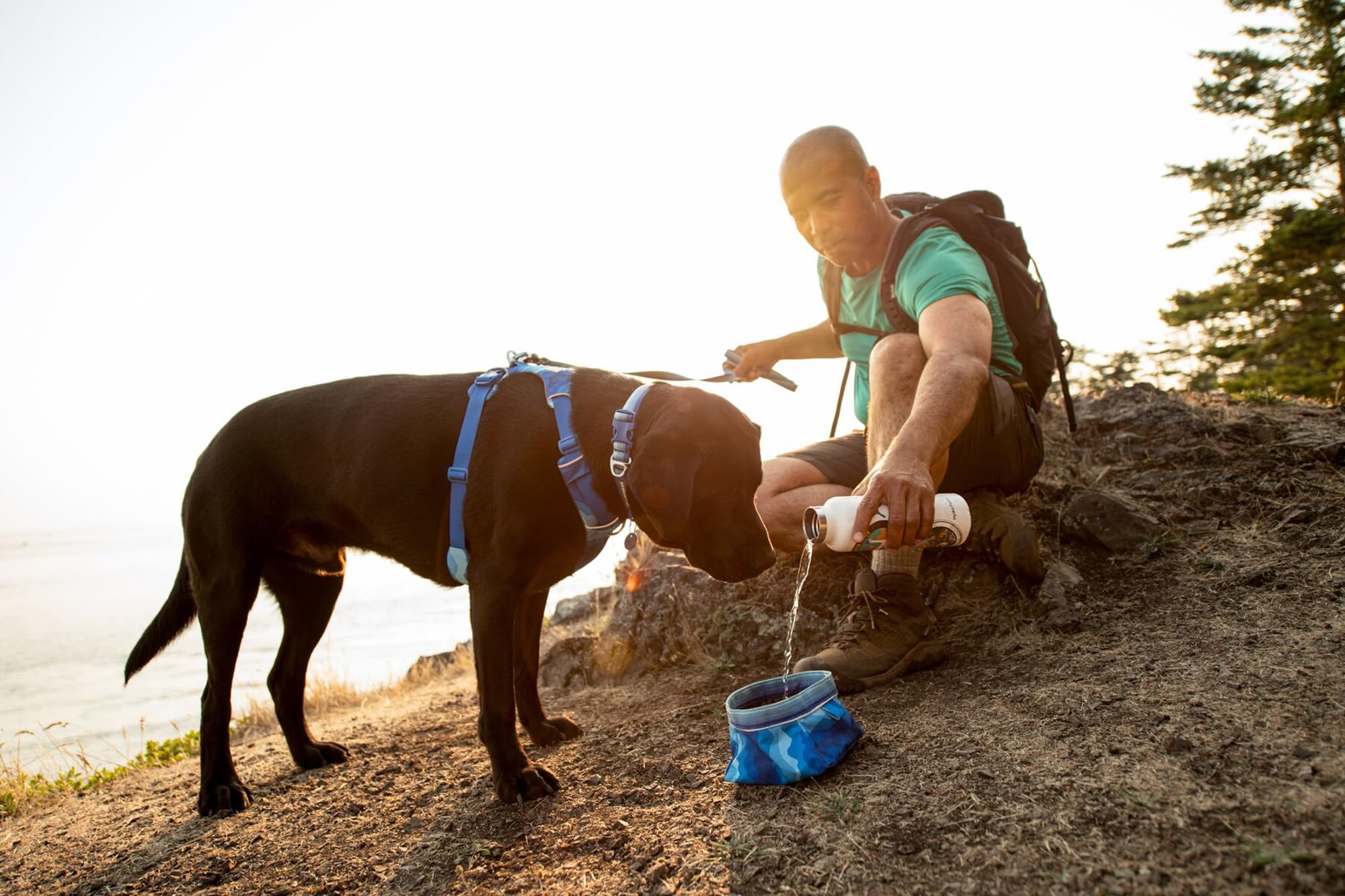 Ruffwear Quencher reflective trim boosts visibility during dawn and dusk walks.