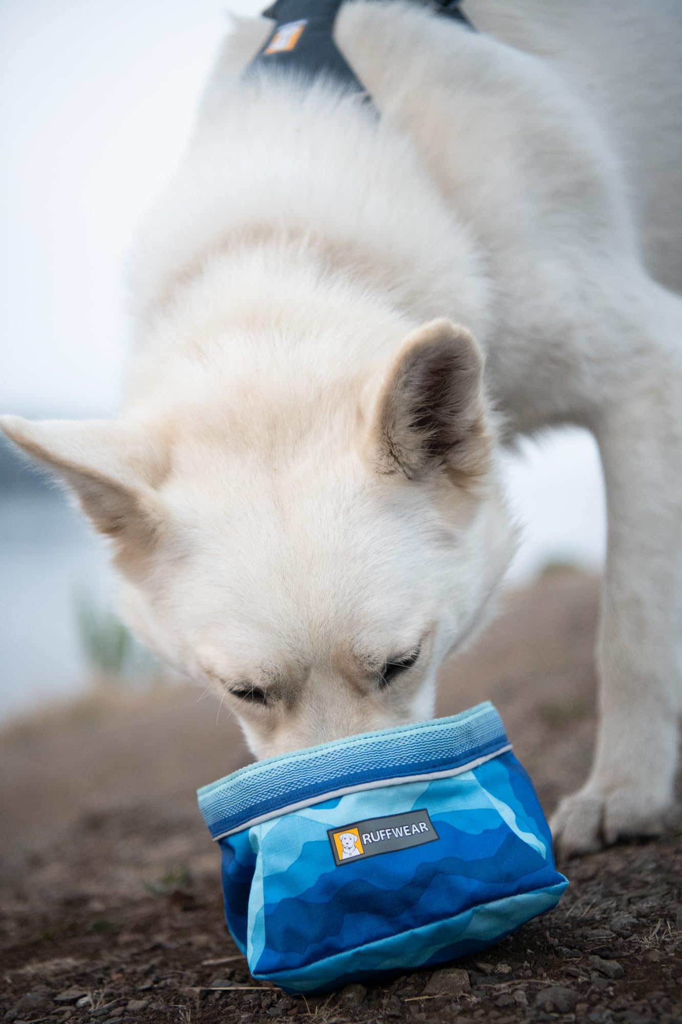 Ruffwear Quencher water-resistant shell demonstrates rugged durability against weather and brush.