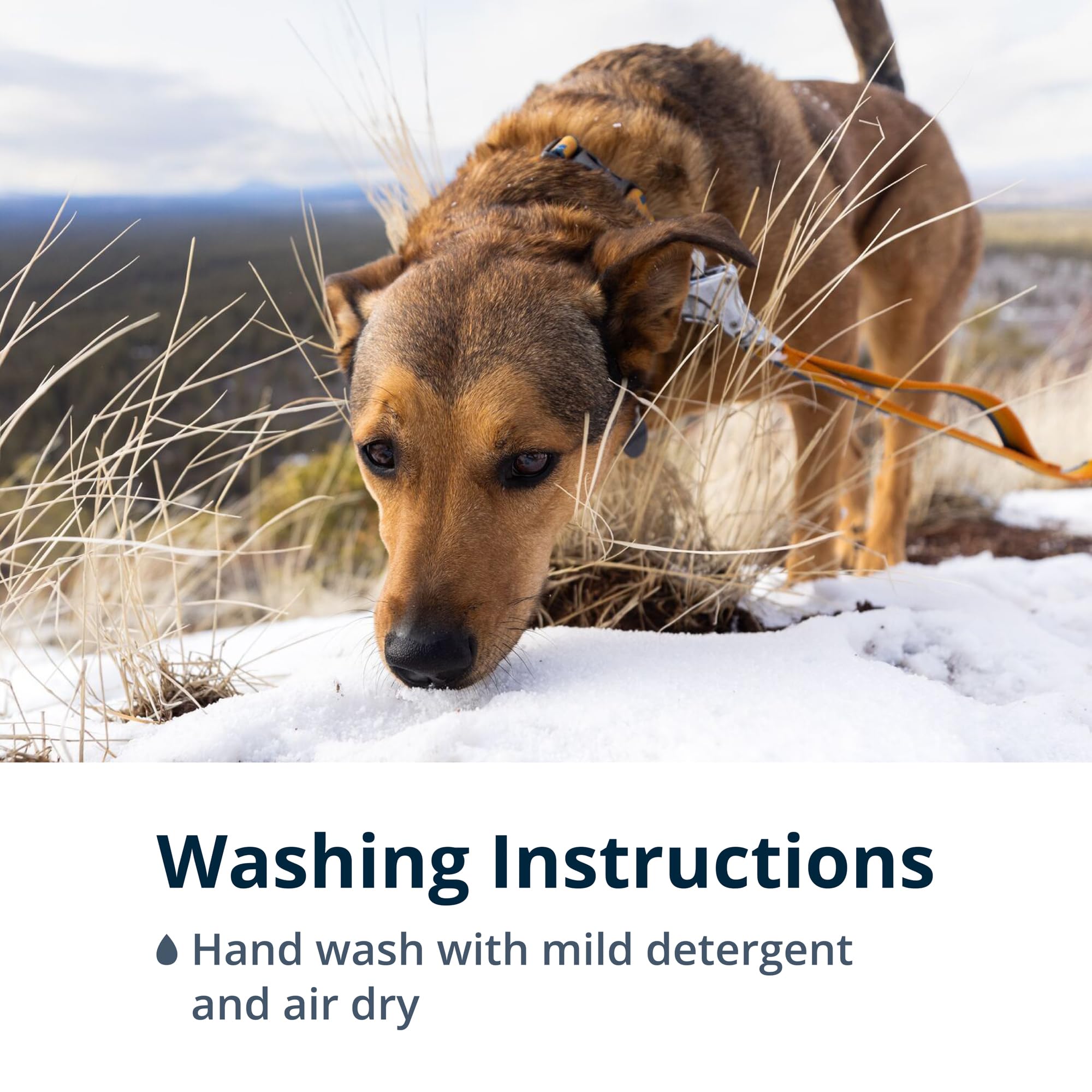 Ruffwear Roamer Bungee Leash hands-free waist option for comfortable runs and rides.