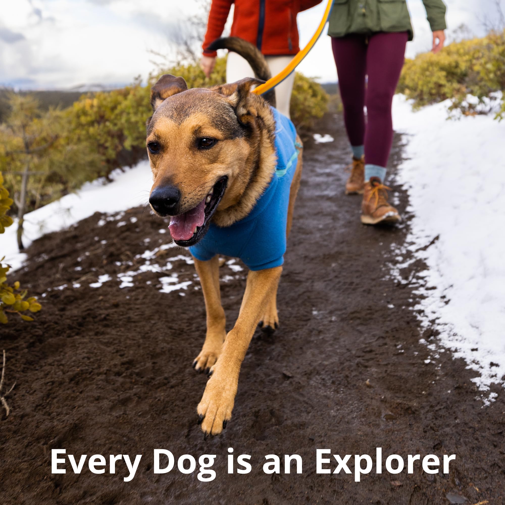 Ruffwear Roamer Bungee Leash River Rock Green color for outdoor visibility and style.