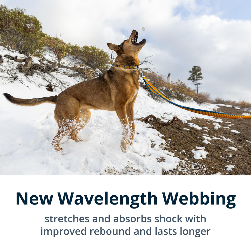 Ruffwear Roamer Bungee Leash traffic handle offers quick restraint in crowded areas.