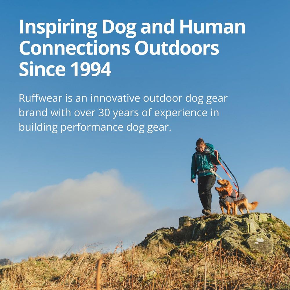 Ruffwear Roamer Lock padded-handle comfort during casual walks.