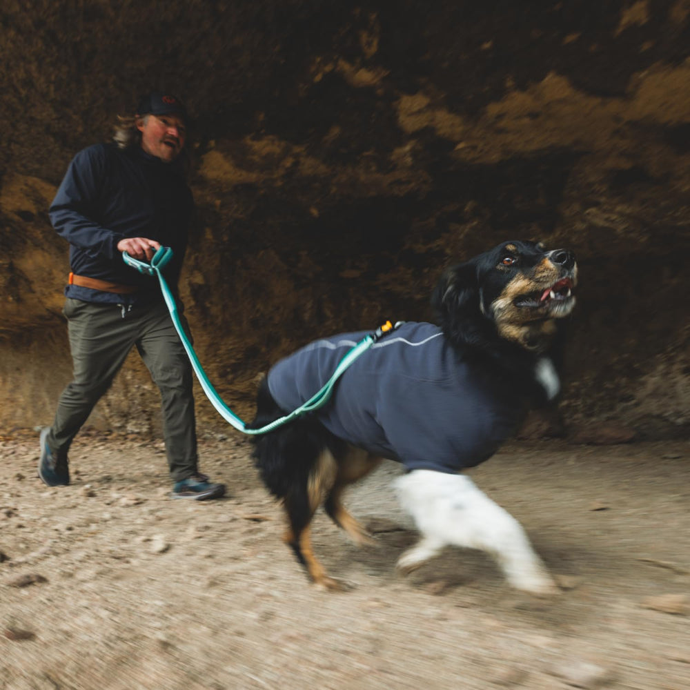 Ruffwear Roamer Lock traffic handle ready for safe crossings.