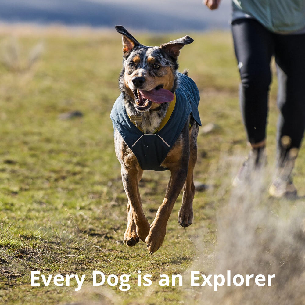 Ruffwear Stumptown Jacket machine washable and quick to air dry.