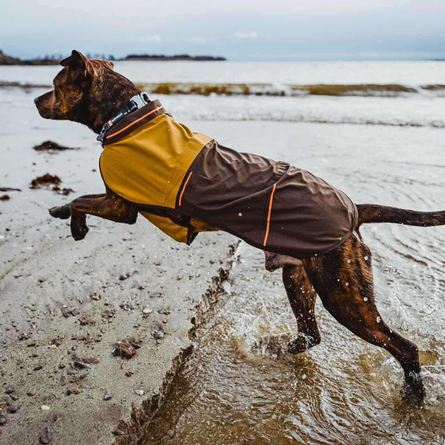 Ruffwear Sun Shower leg-loops adjusted show stay-put fit during windy runs.