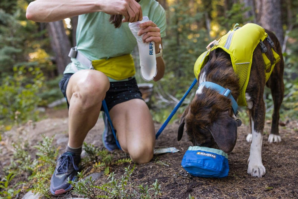 Ruffwear Trail Runner compact storage when folded saves space.