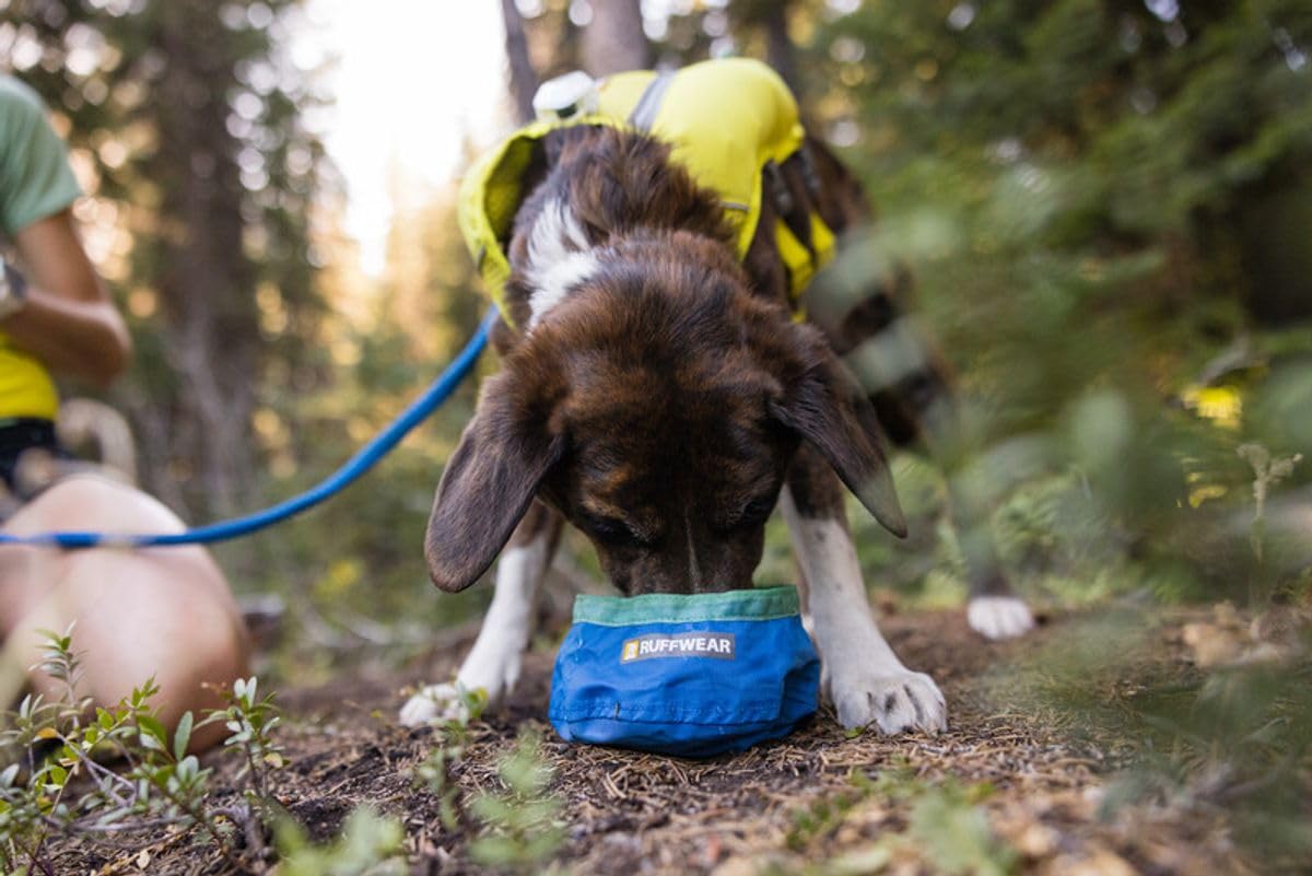 Ruffwear Trail Runner ultralight bowl weighing around 18 grams.