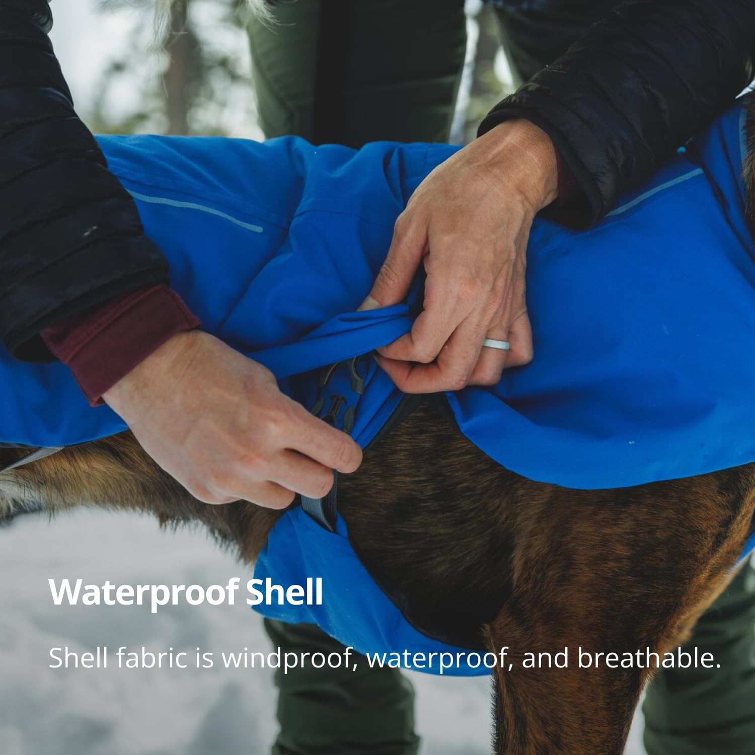 Ruffwear Vert Dog ajuste seguro con correas regulables.