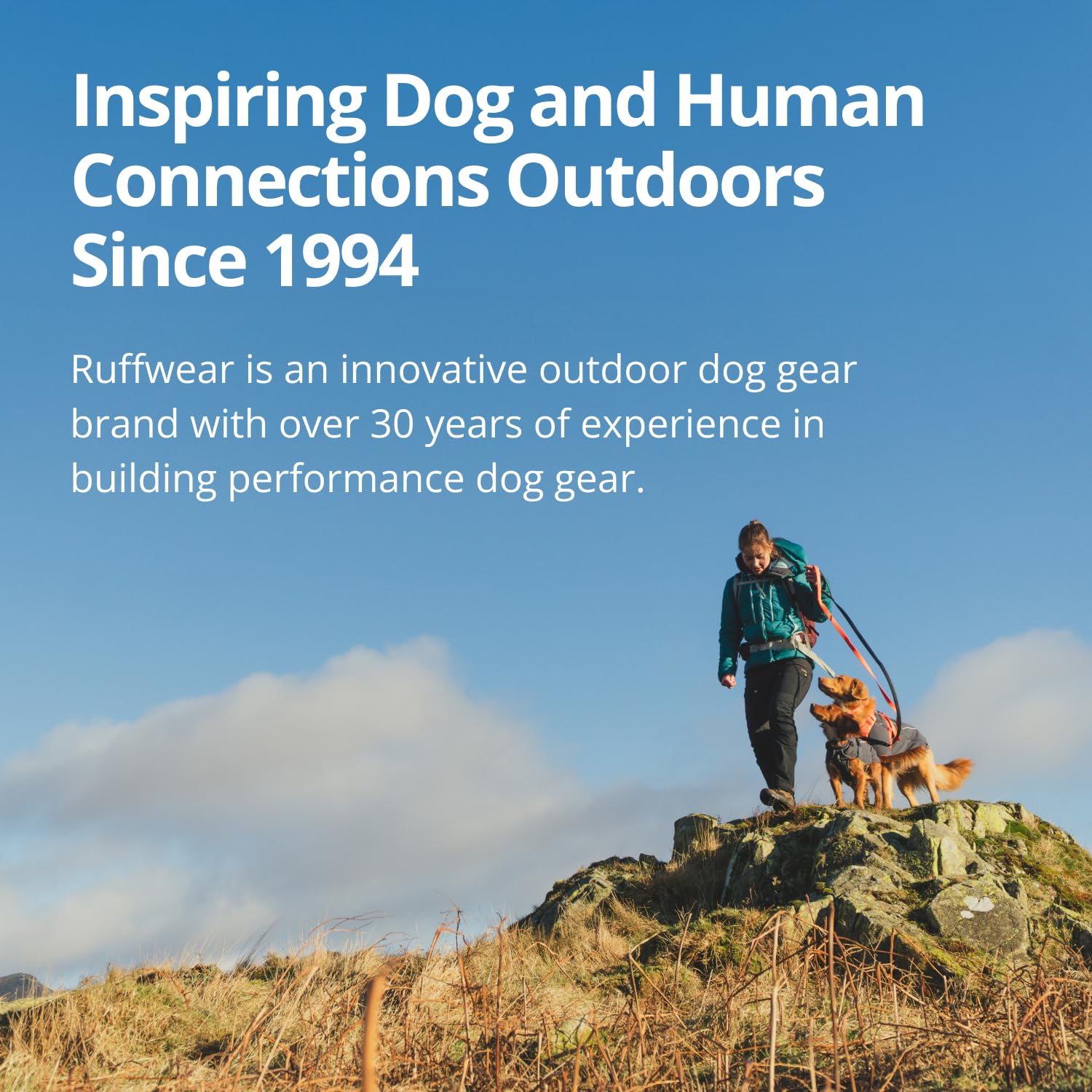 Ruffwear Vert Dog Winter Jacket mineral-yellow fabric stands out for visibility.