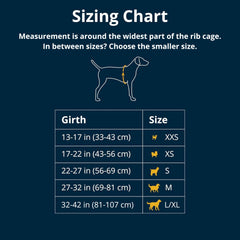 Ruffwear Web Master back V-ring clip ready for training and trail runs.