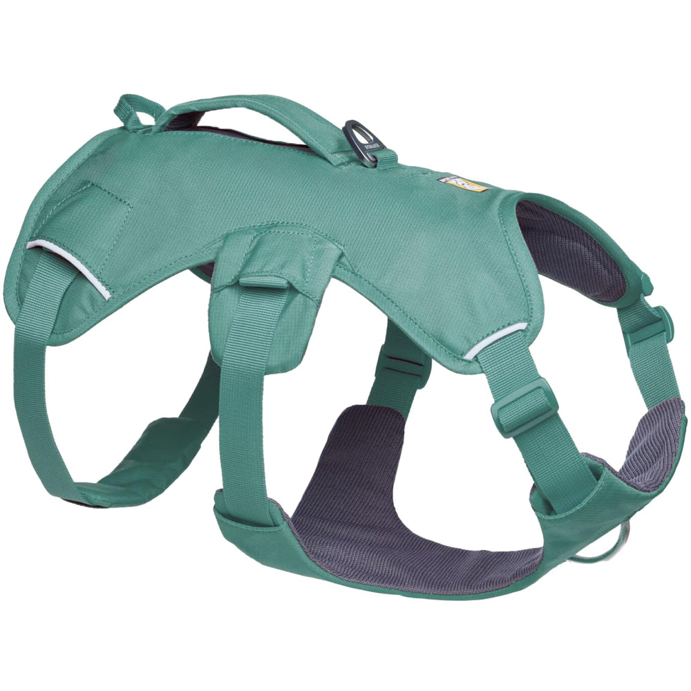 Ruffwear Web Master harness in River Rock Green shows secure fit for daily wear and hiking.