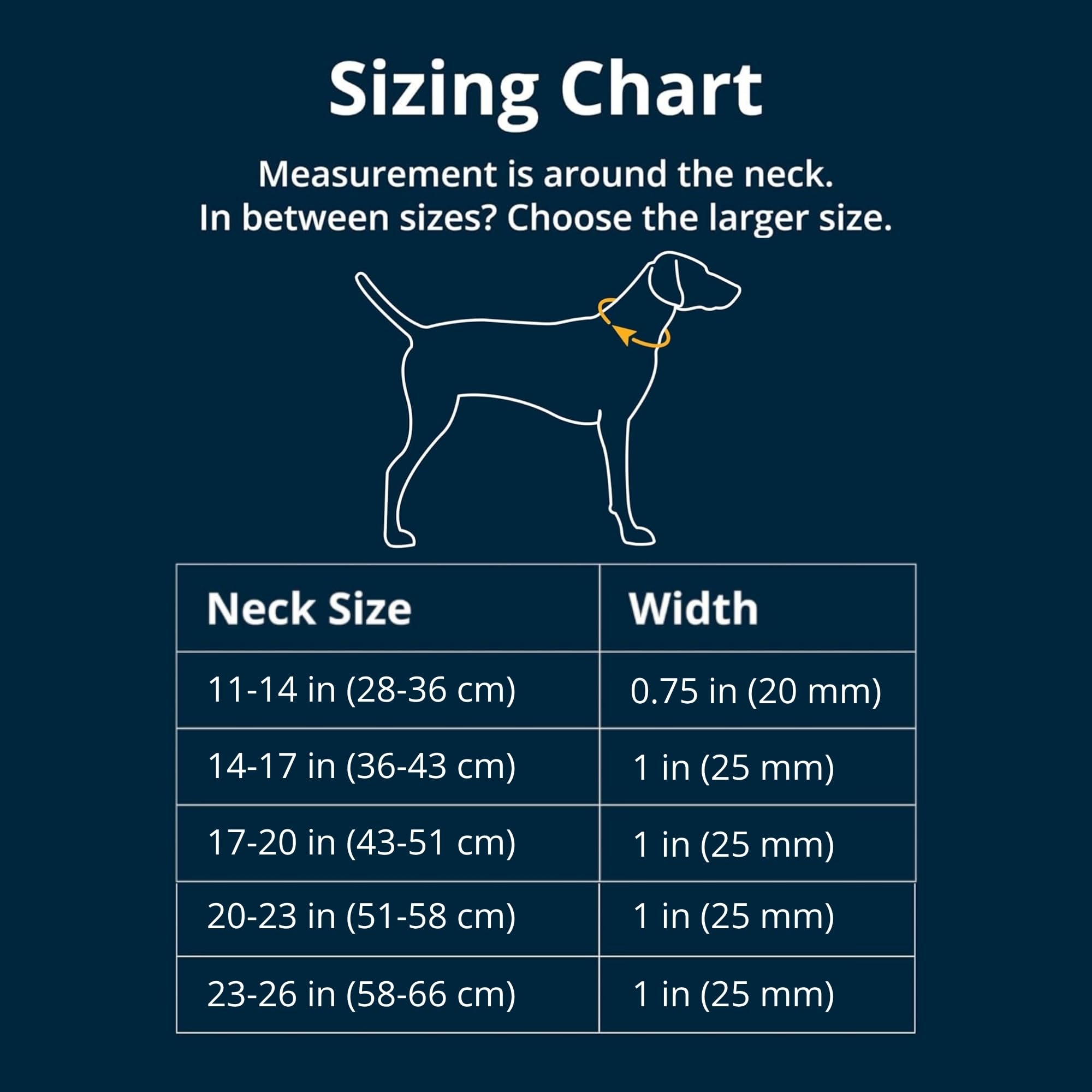 Ruffwear Web Reaction buckle close-up highlighting escape-proof design