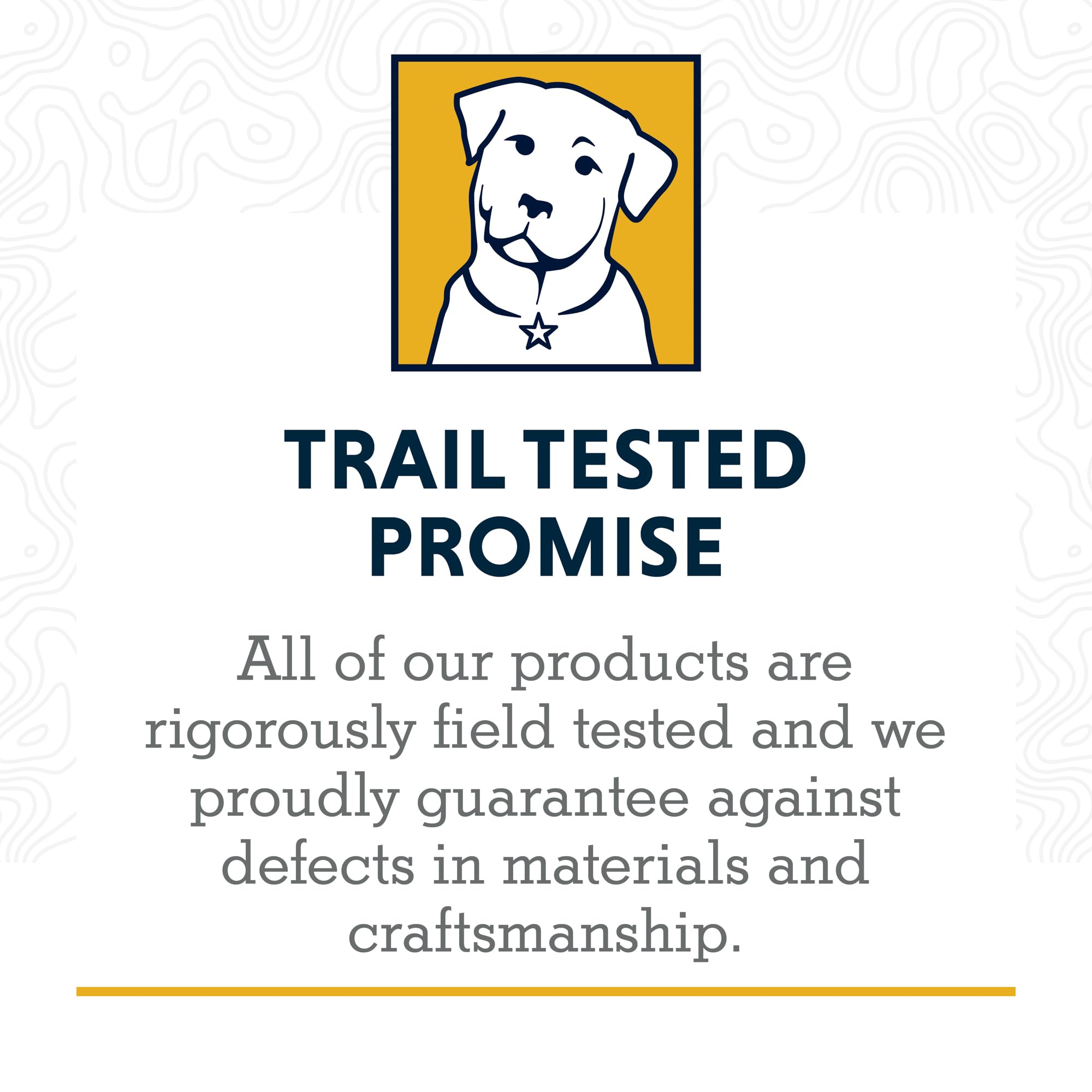 Ruffwear River Rock Green collar on dog during a walk