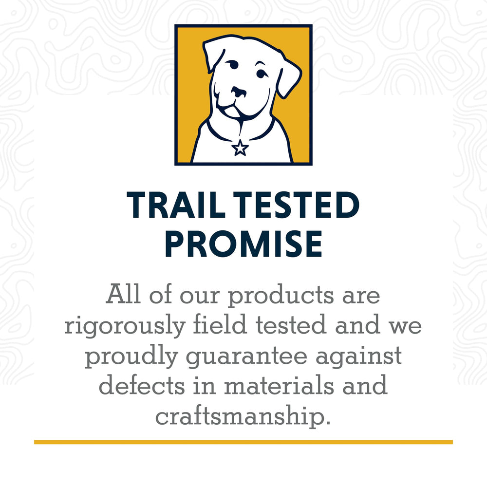 Ruffwear River Rock Green collar on dog during a walk