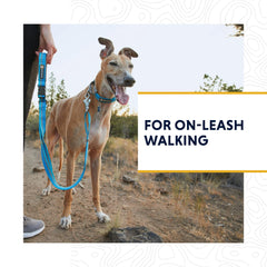 Ruffwear Tubelok webbing close-up shows soft feel and recycled material