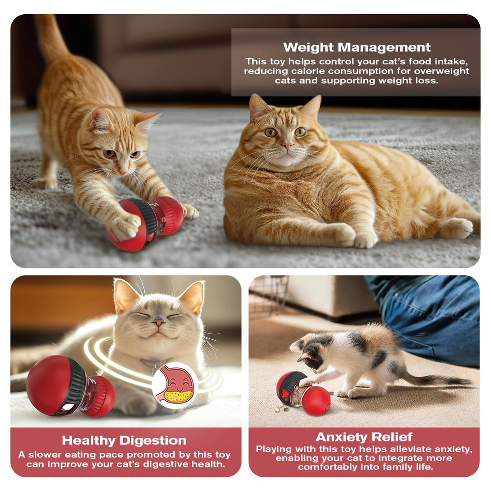 RUIDAY slow-feeding design supports energy management during play.