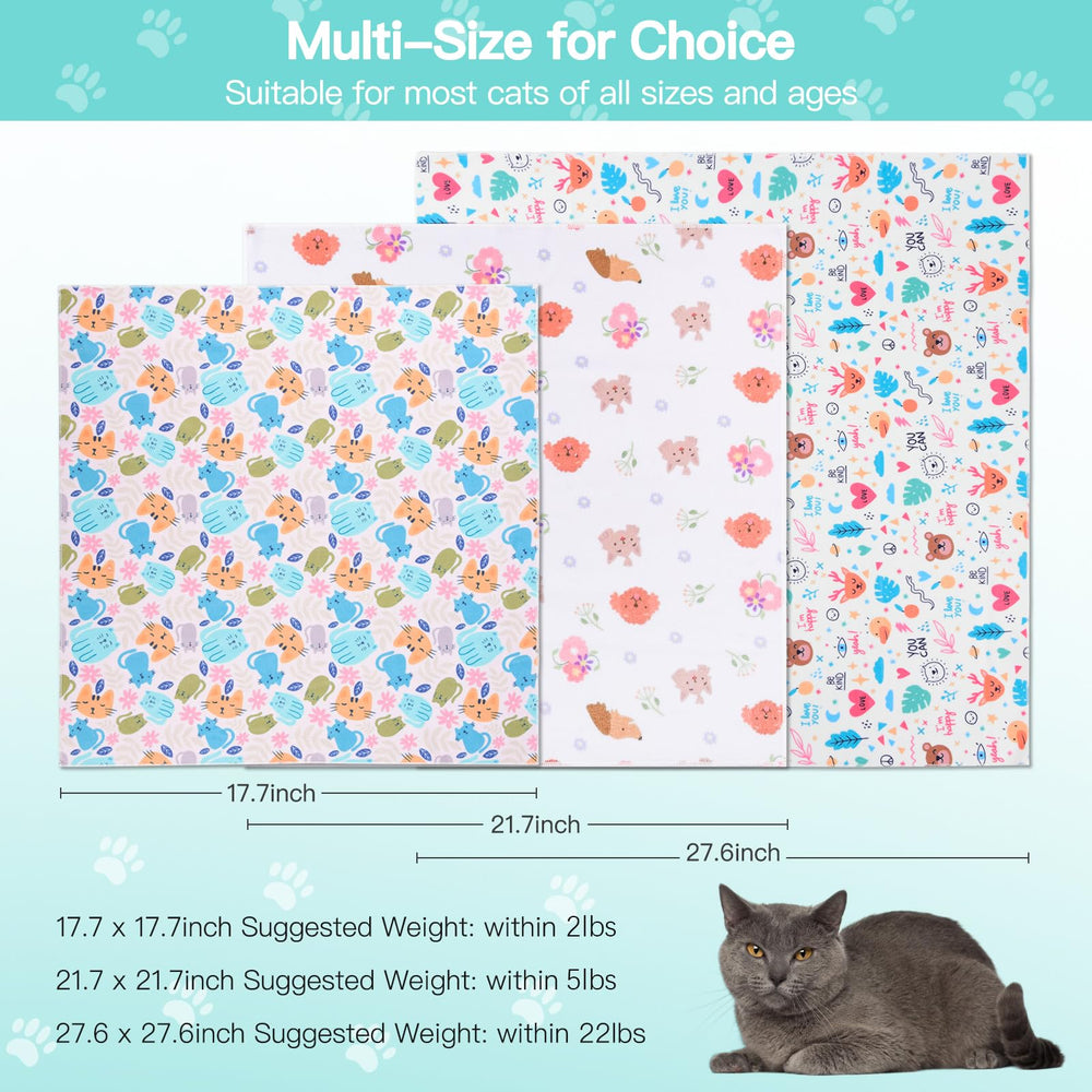 Ruiliangai portable design image conveys easy carry during vet visits.