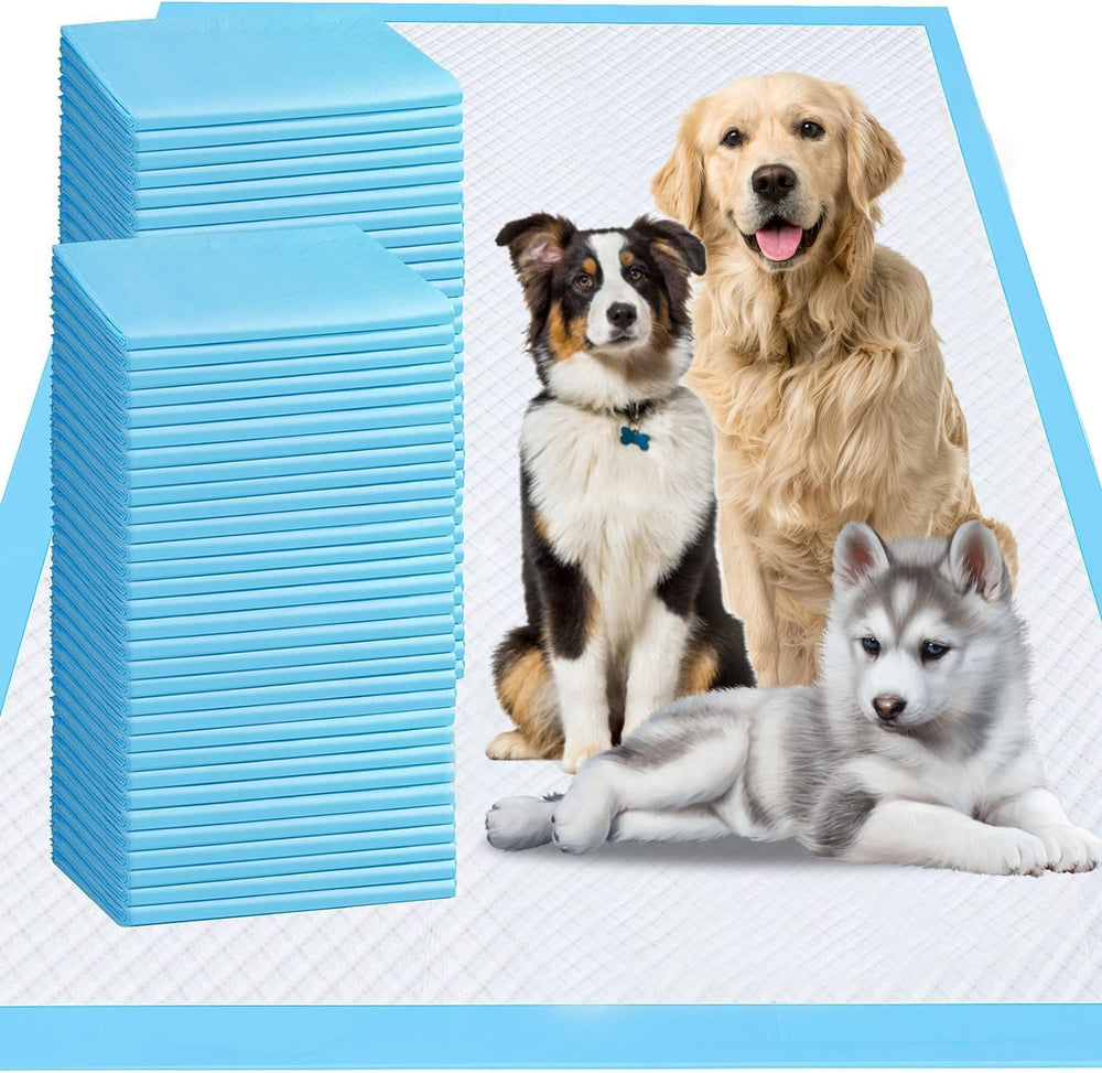 Rumagi extra-large dog pee pad 31x36, leak-proof and ideal for house training pets.