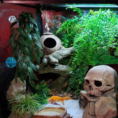 RUNANIA artificial-plant enhances habitat realism and hiding spaces.