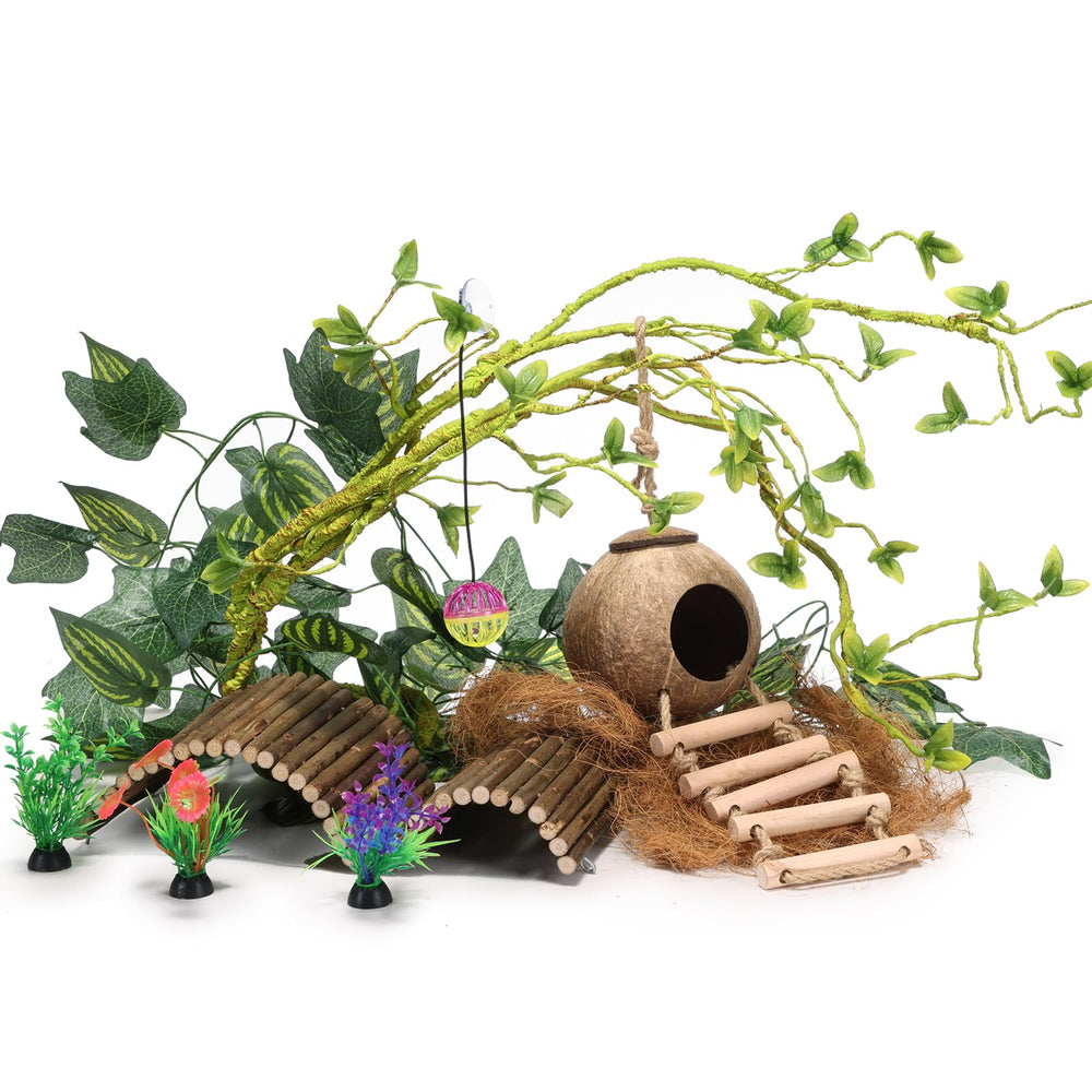 RUNANIA gecko tank coconut hut creates a cozy hideout and enrichment
