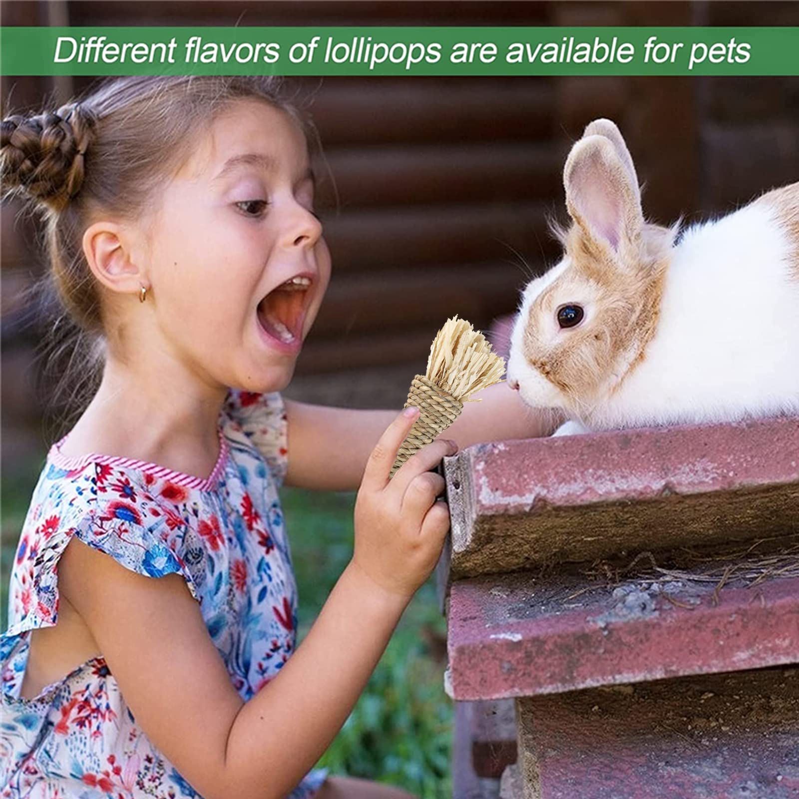 RUNANIA Apple Wood Hanging Molar – hangable chew for interactive play.