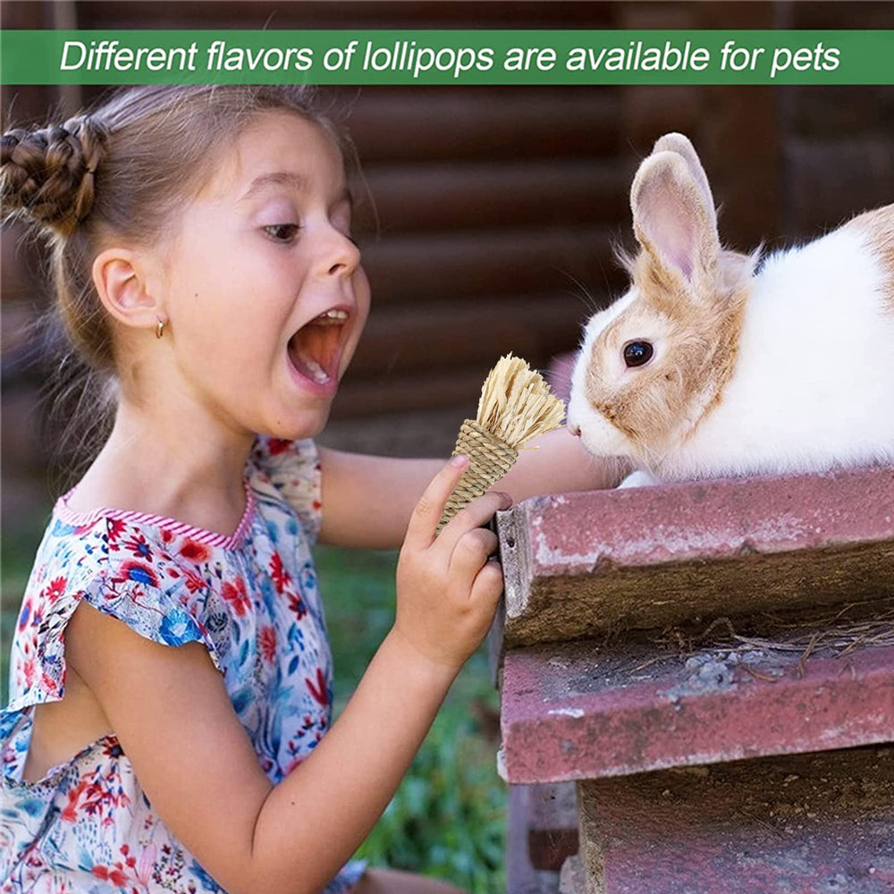 RUNANIA Apple Wood Hanging Molar – hangable chew for interactive play.