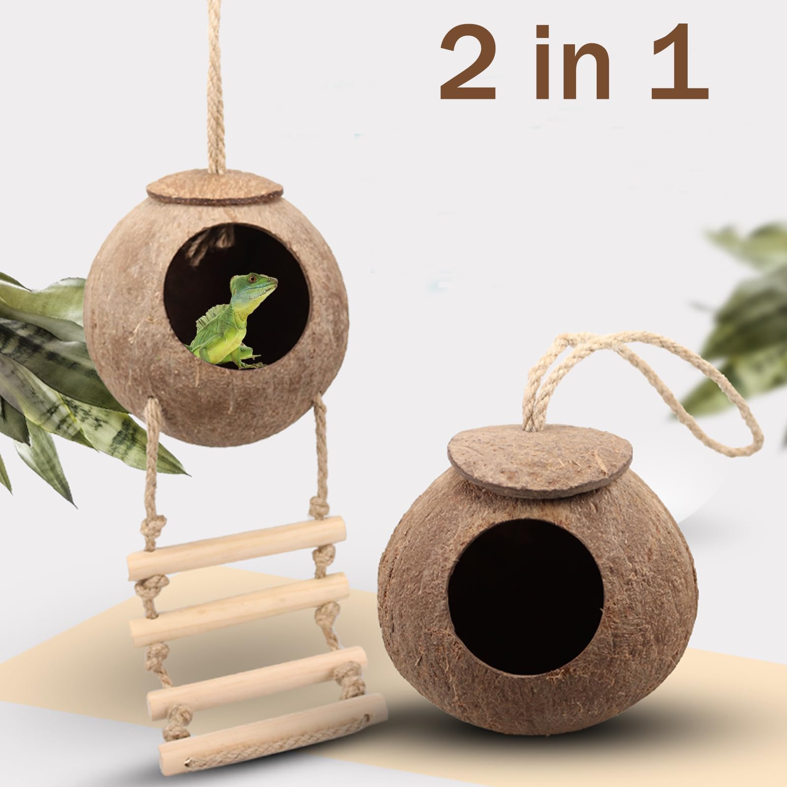 RUNANIA reptile-ball stimulates play and exploration.