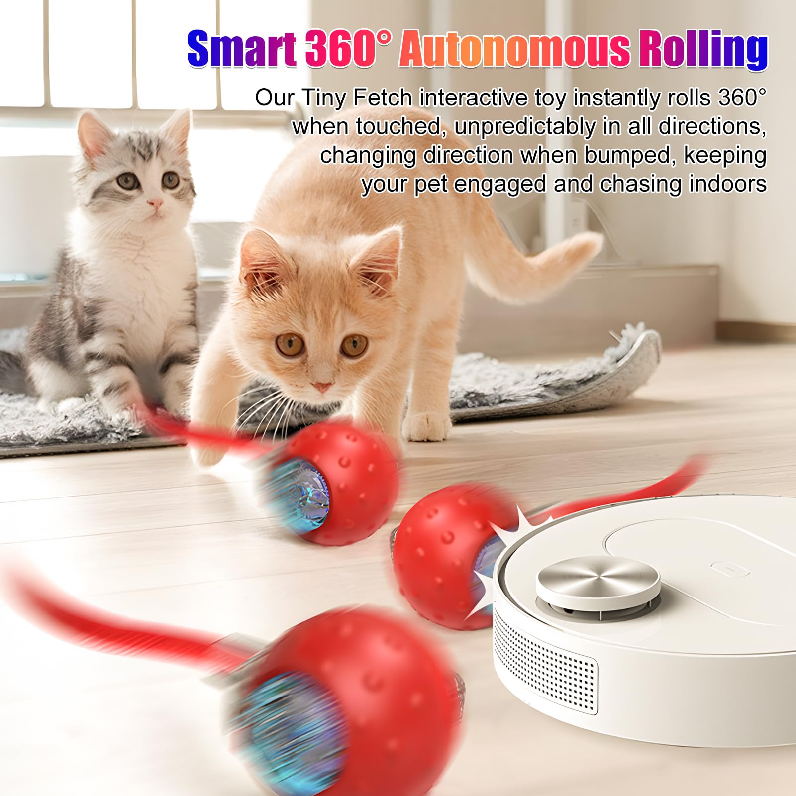 RunBuxd Tinyfetch 360-degree rolling action enables unpredictable indoor adventures.